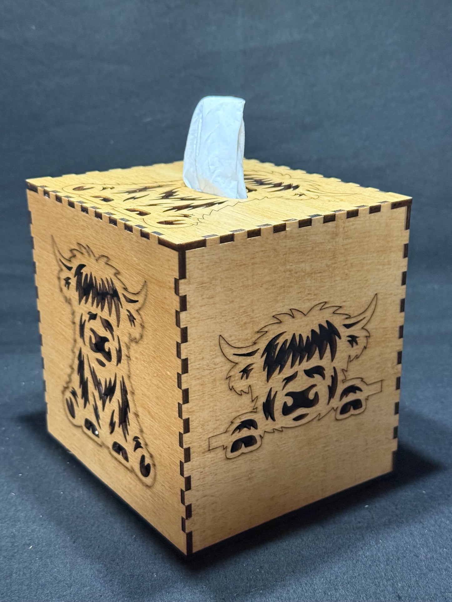 Highland Cow Tissue box
